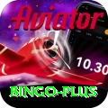 bingo Pakistan Legend v1.4.8