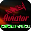 cricket pitch - Master Earning App