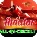 fastest ball in cricket Game Pro v2.5.8