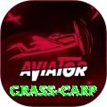 grass carp - Elite Earning App
