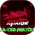 india australia t20 match - Deluxe Edition v2.7.5