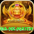 india nz match Gaming Legend v1.0.6