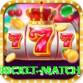 international cricket match Gaming Premium v2.7.2