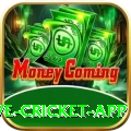 live cricket app PK King