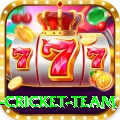new zealand cricket team VIP - Win Real PKR