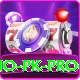 Pakistan Casino PK Pro