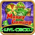 smartcric live cricket Live Champion