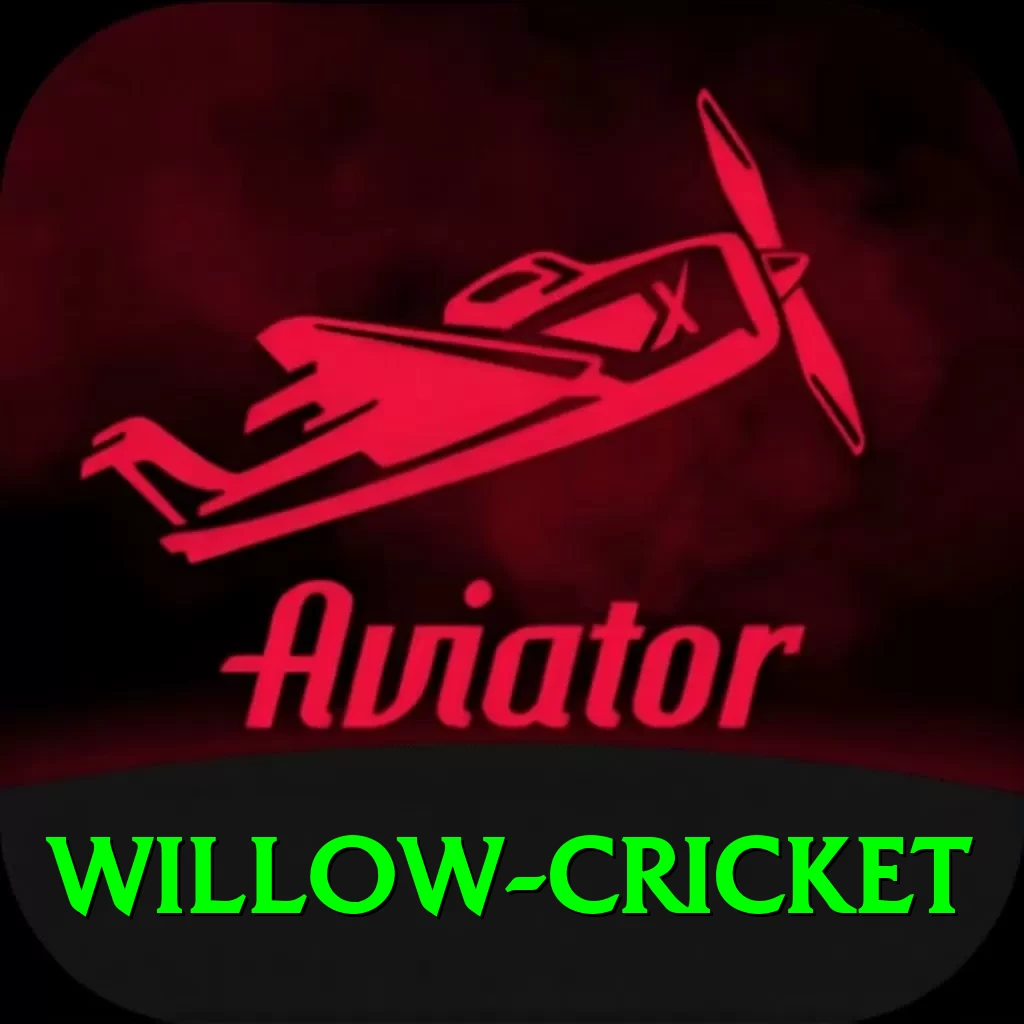 willow cricket Games Gold - 2